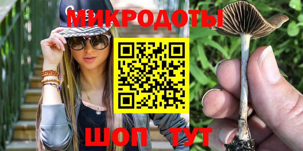 Псилоцибиновые грибы прущие грибы Славянск-на-Кубани